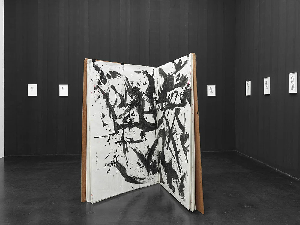 OpentheKimono — Lutz Bacher — Exhibitions — Galerie Buchholz — Image 00