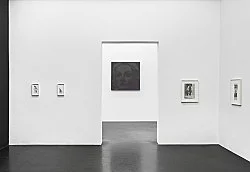 Open the Kimono — Lutz Bacher — Exhibitions — Galerie Buchholz — Image 67