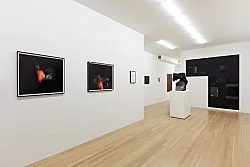 Hölle — Lutz Bacher Caleb Considine Vincent Fecteau Rainald Goetz Sergej Jensen Jutta Koether Michael Krebber Monica Majoli... — Exhibitions — Galerie Buchholz — Image 57