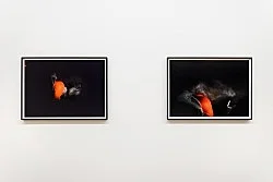 Hölle — Lutz Bacher Caleb Considine Vincent Fecteau Rainald Goetz Sergej Jensen Jutta Koether Michael Krebber Monica Majoli... — Exhibitions — Galerie Buchholz — Image 59