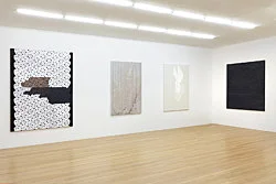 Fabric Paintings — Sergej Jensen — Exhibitions — Galerie Buchholz — Image 45