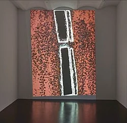 Trisha Donnelly Köln 2018 — Trisha Donnelly — Exhibitions — Galerie Buchholz — Image 12