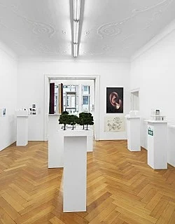 Außenprojekte — Isa Genzken — Exhibitions — Galerie Buchholz — Image 177
