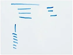 Wirklichkeit erschlägt Kunst — Michael Krebber — Exhibitions — Galerie Buchholz — Image 73