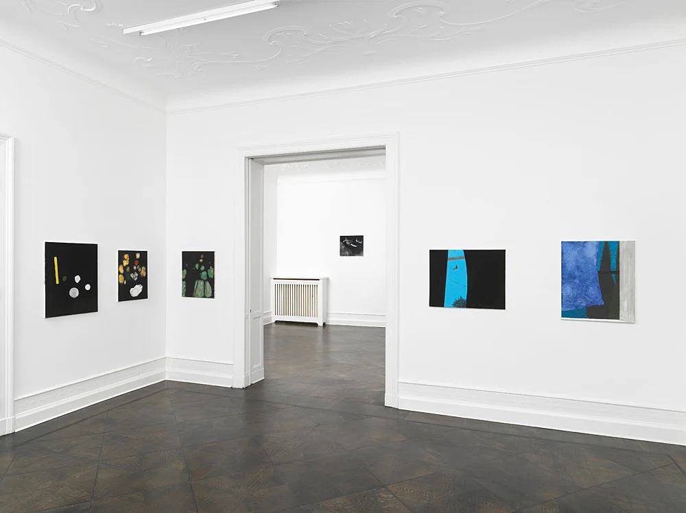 Gotothewindow — Mayo Thompson — Exhibitions — Galerie Buchholz — Image 00