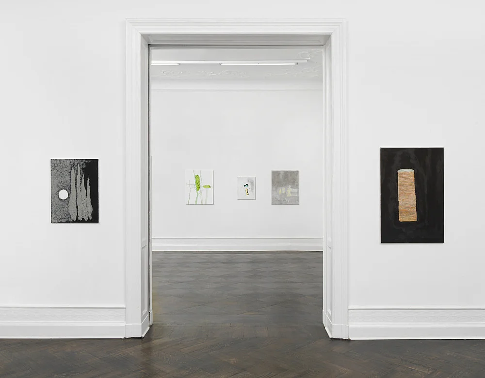 Gotothewindow — Mayo Thompson — Exhibitions — Galerie Buchholz — Image 00