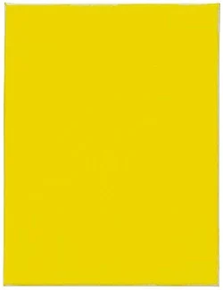 Go to the window — Mayo Thompson — Exhibitions — Galerie Buchholz — Image 83