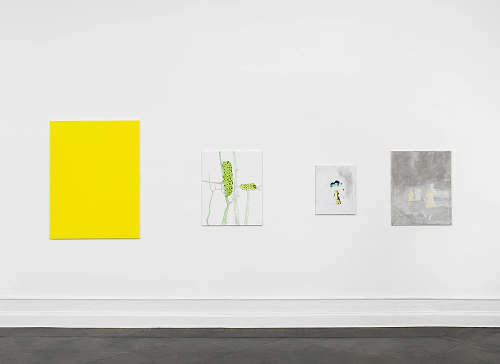 Gotothewindow — Mayo Thompson — Exhibitions — Galerie Buchholz — Image 00