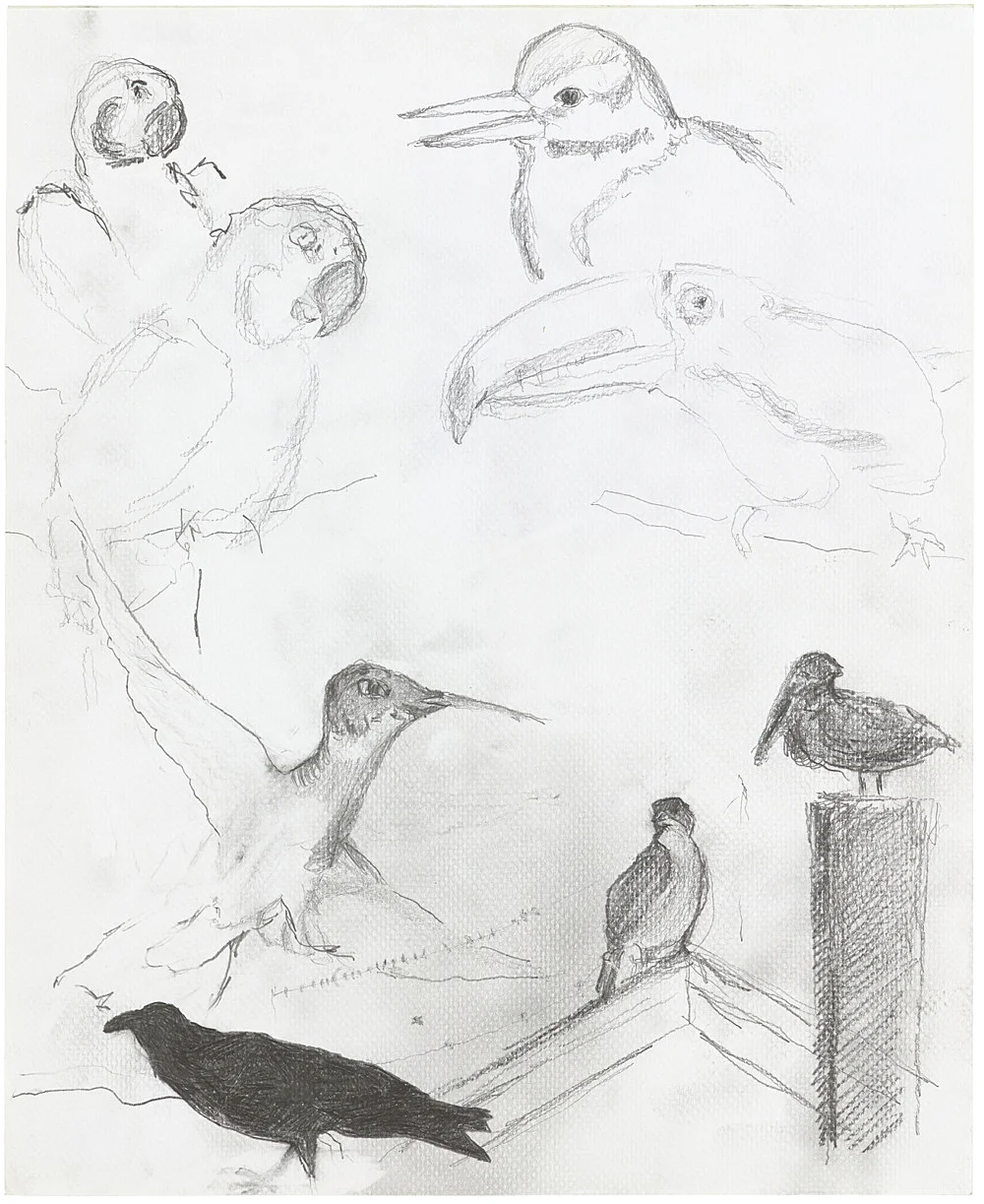 Gotothewindow — Mayo Thompson — Exhibitions — Galerie Buchholz — Image 45