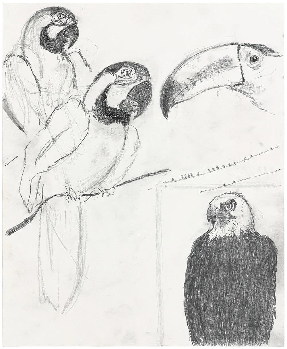 Gotothewindow — Mayo Thompson — Exhibitions — Galerie Buchholz — Image 46