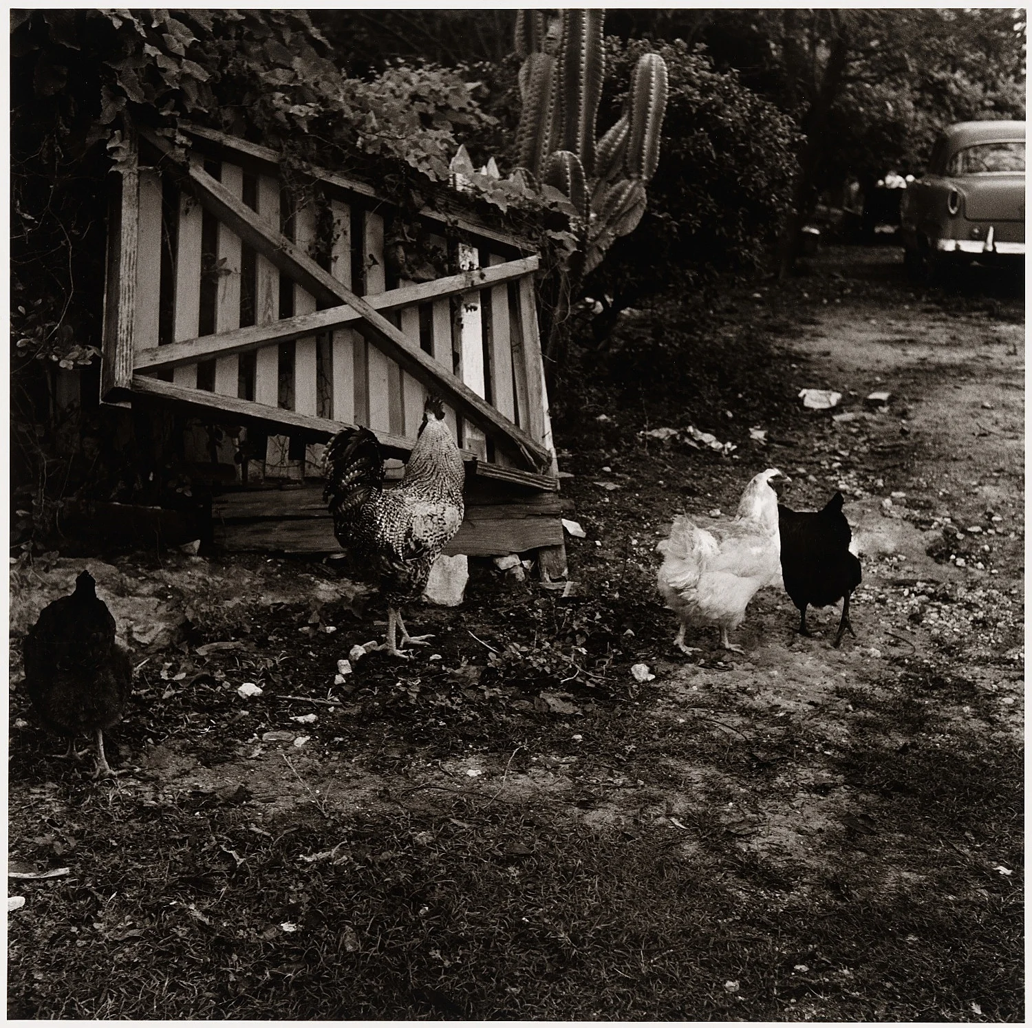 Moyra Davey Peter Hujar - Berlin 2020 — Moyra Davey Peter Hujar — Exhibitions — Galerie Buchholz — Image 24
