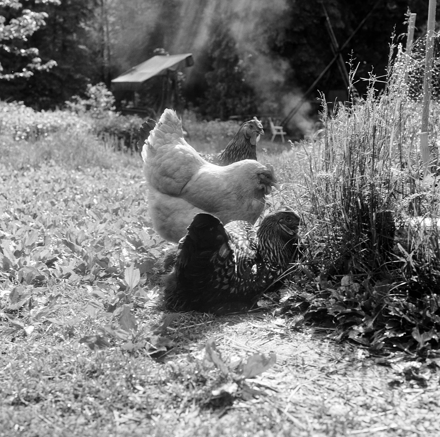 Moyra Davey Peter Hujar - Berlin 2020 — Moyra Davey Peter Hujar — Exhibitions — Galerie Buchholz — Image 22