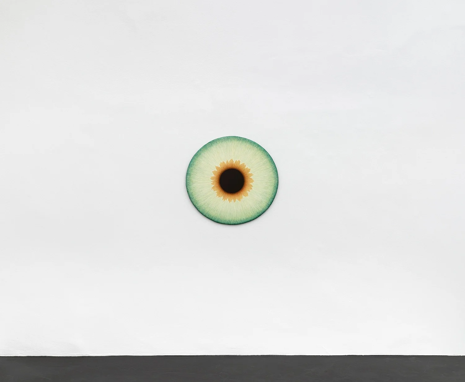 Visualities — Ulla Wiggen — Exhibitions — Galerie Buchholz — Image 13