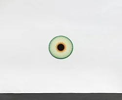 Visualities — Ulla Wiggen — Exhibitions — Galerie Buchholz — Image 32