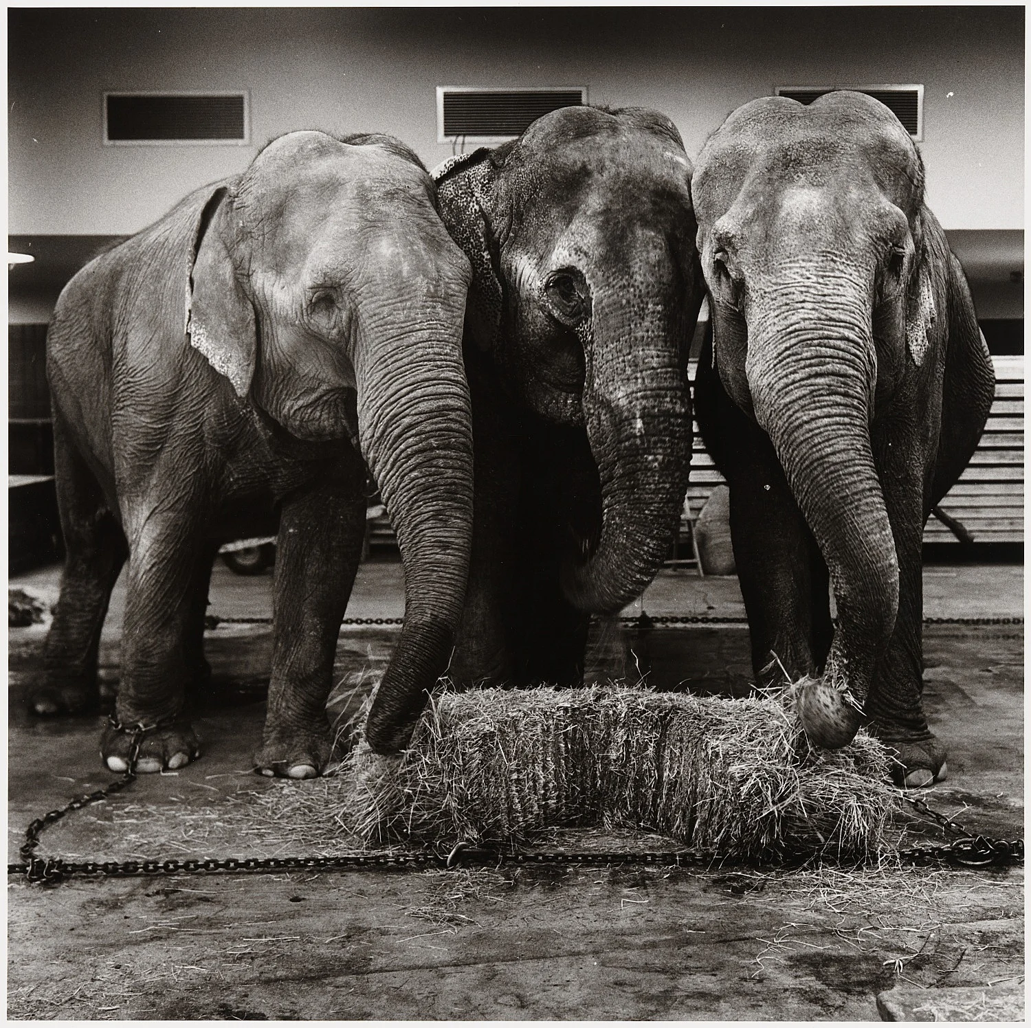 Moyra Davey Peter Hujar - Berlin 2020 — Moyra Davey Peter Hujar — Exhibitions — Galerie Buchholz — Image 27