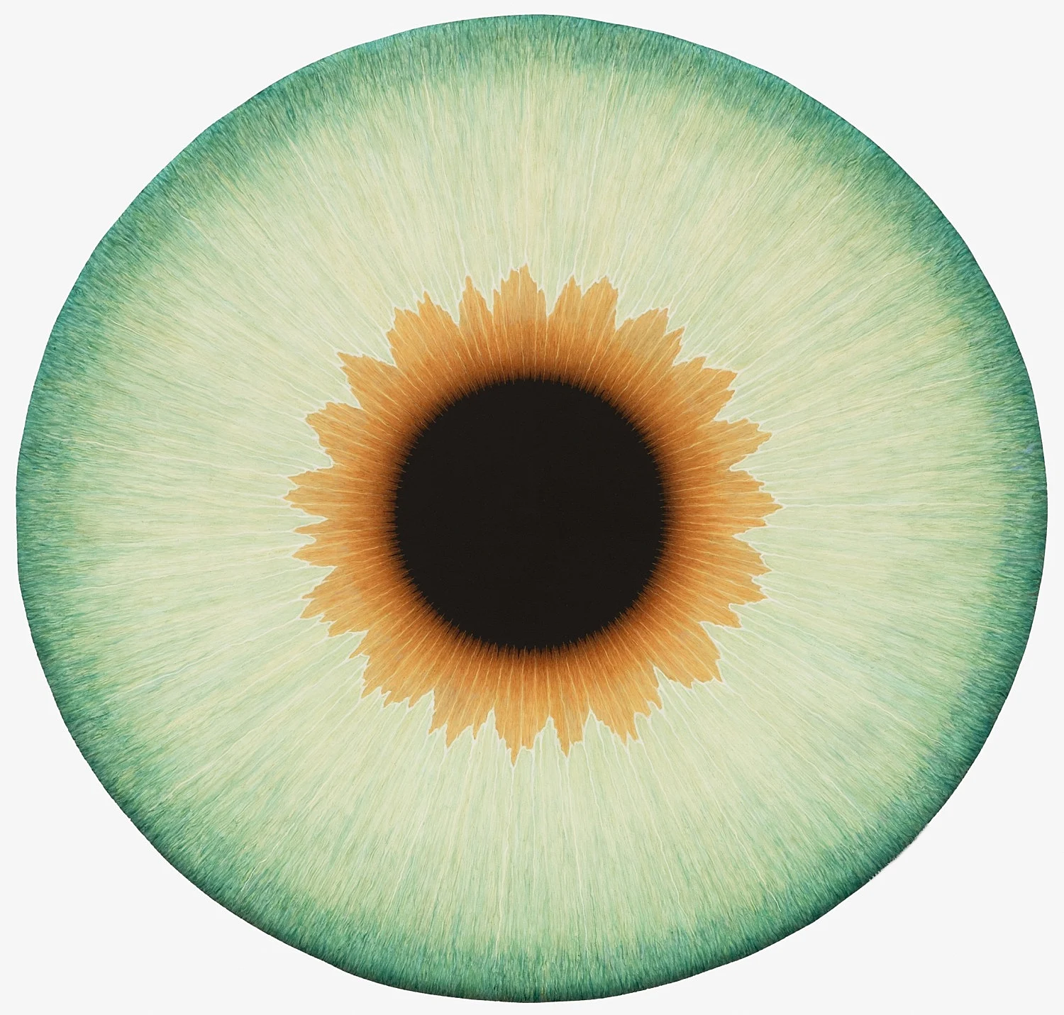 Visualities — Ulla Wiggen — Exhibitions — Galerie Buchholz — Image 14
