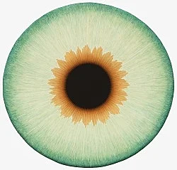 Visualities — Ulla Wiggen — Exhibitions — Galerie Buchholz — Image 33