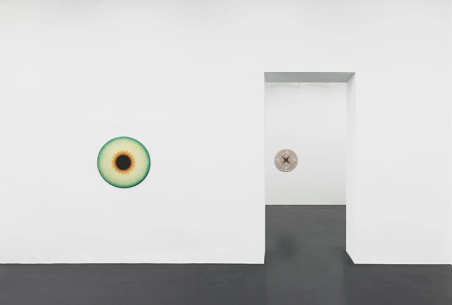 Visualities — Ulla Wiggen — Exhibitions — Galerie Buchholz — Image 15