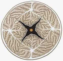 Visualities — Ulla Wiggen — Exhibitions — Galerie Buchholz — Image 36