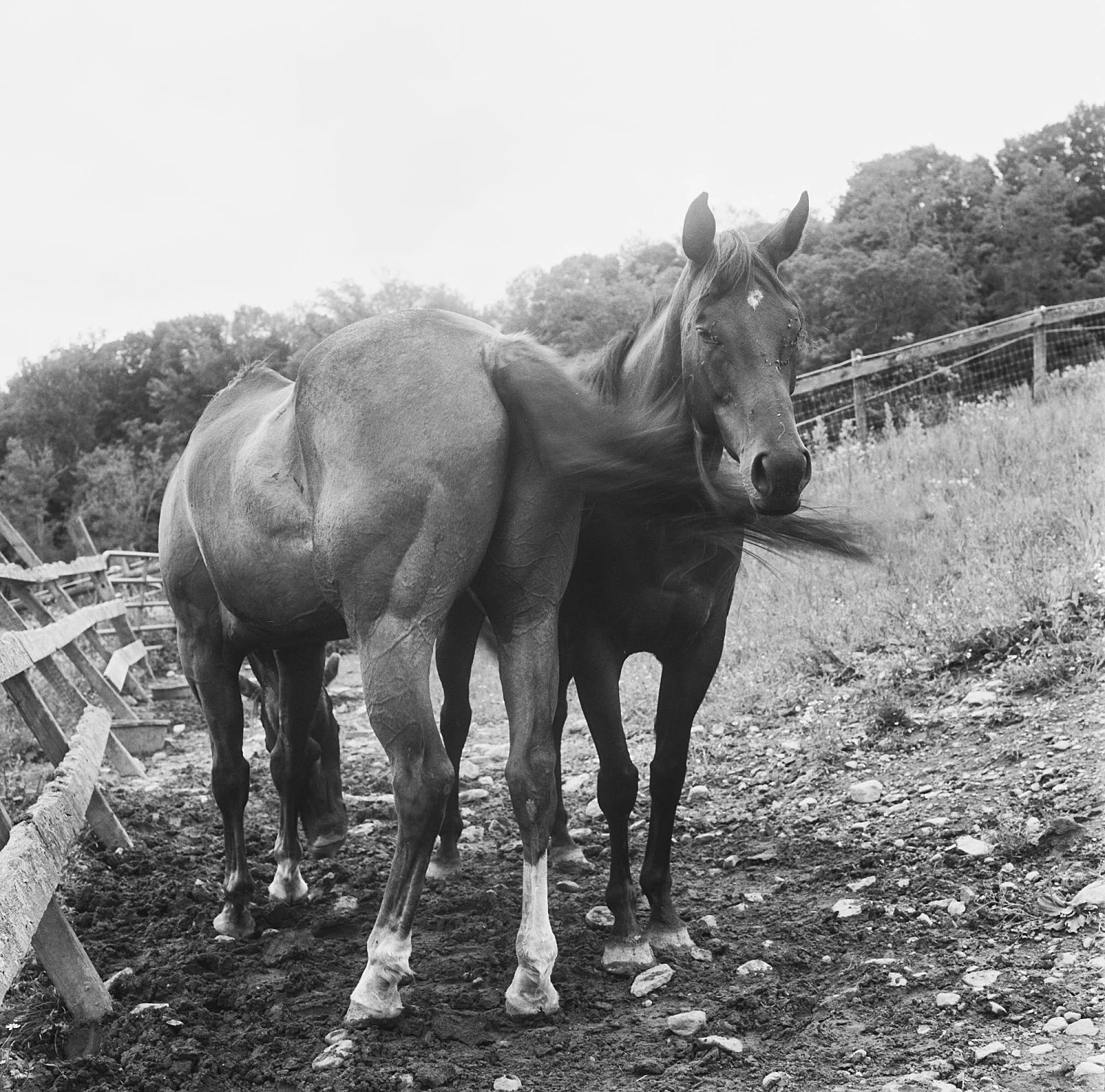 Moyra Davey Peter Hujar - Berlin 2020 — Moyra Davey Peter Hujar — Exhibitions — Galerie Buchholz — Image 30