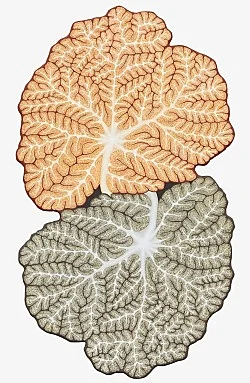 Visualities — Ulla Wiggen — Exhibitions — Galerie Buchholz — Image 39