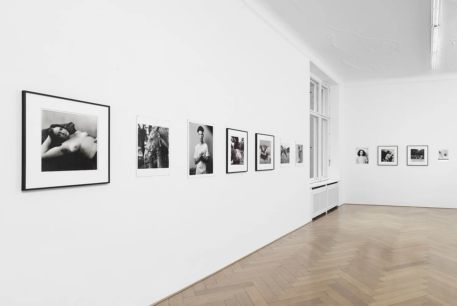 Moyra Davey Peter Hujar - Berlin 2020 — Moyra Davey Peter Hujar — Exhibitions — Galerie Buchholz — Image 39