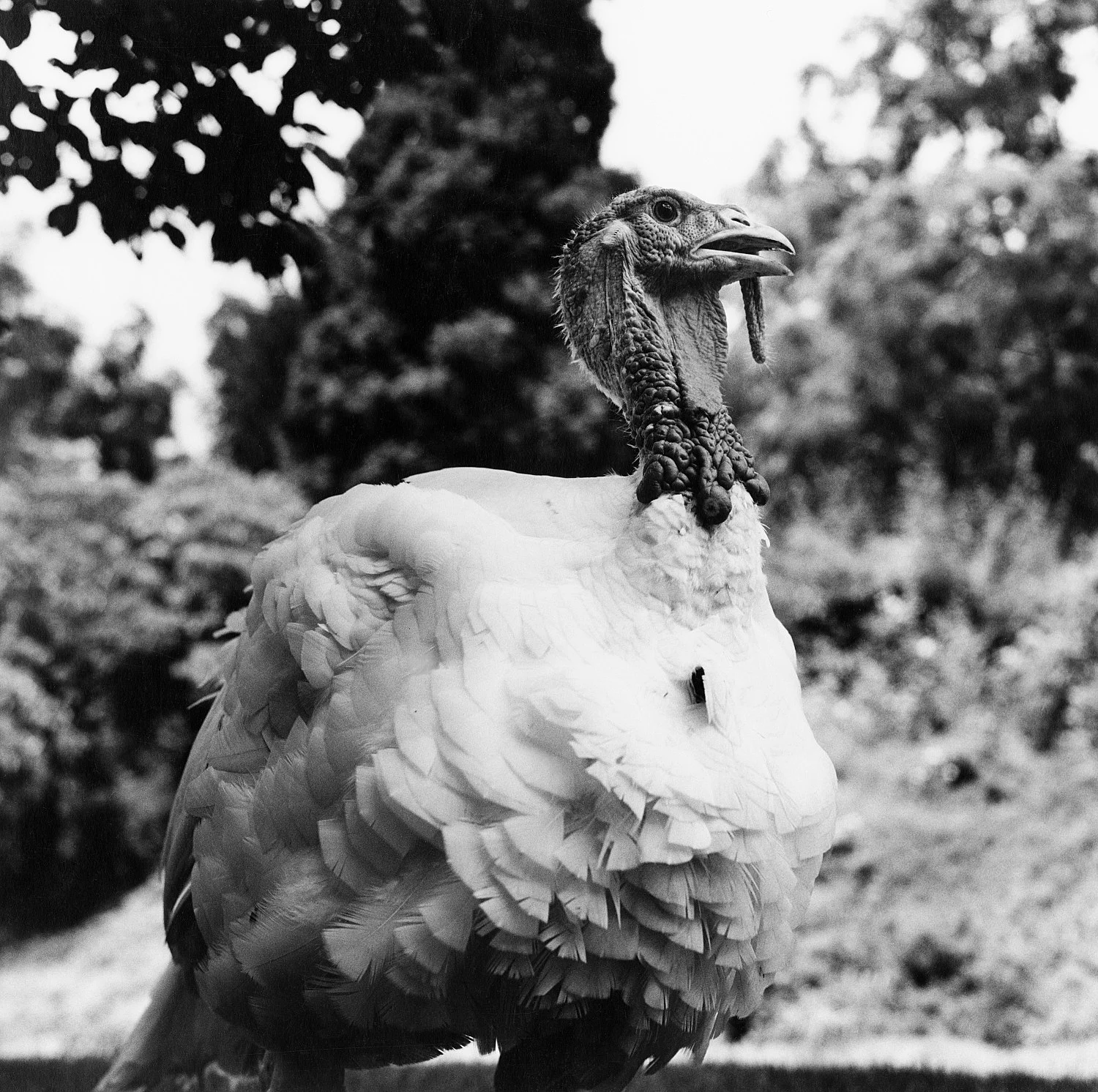 Moyra Davey Peter Hujar - Berlin 2020 — Moyra Davey Peter Hujar — Exhibitions — Galerie Buchholz — Image 44