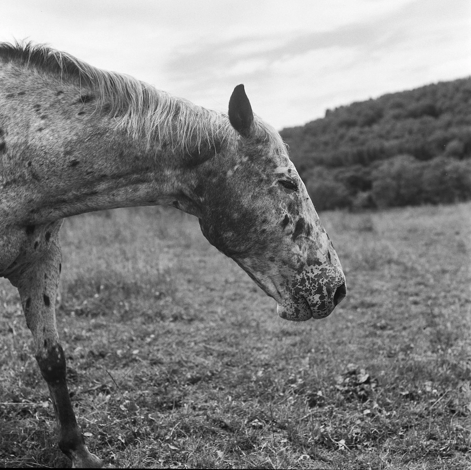 Moyra Davey Peter Hujar - Berlin 2020 — Moyra Davey Peter Hujar — Exhibitions — Galerie Buchholz — Image 46