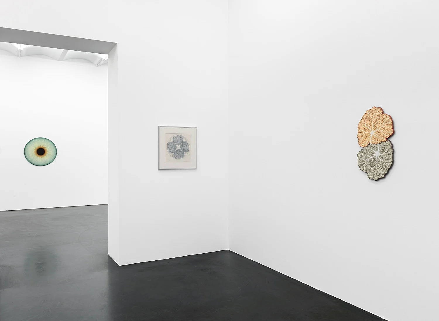 Visualities — Ulla Wiggen — Exhibitions — Galerie Buchholz — Image 21