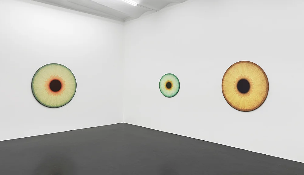 Visualities — Ulla Wiggen — Exhibitions — Galerie Buchholz — Image 00