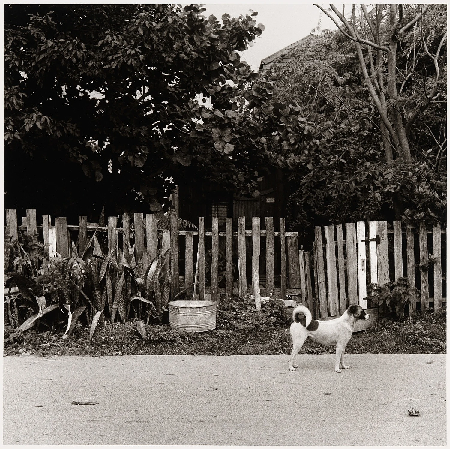 Moyra Davey Peter Hujar - Berlin 2020 — Moyra Davey Peter Hujar — Exhibitions — Galerie Buchholz — Image 51