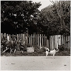 Moyra Davey Peter Hujar - Berlin 2020 — Moyra Davey Peter Hujar — Exhibitions — Galerie Buchholz — Image 121