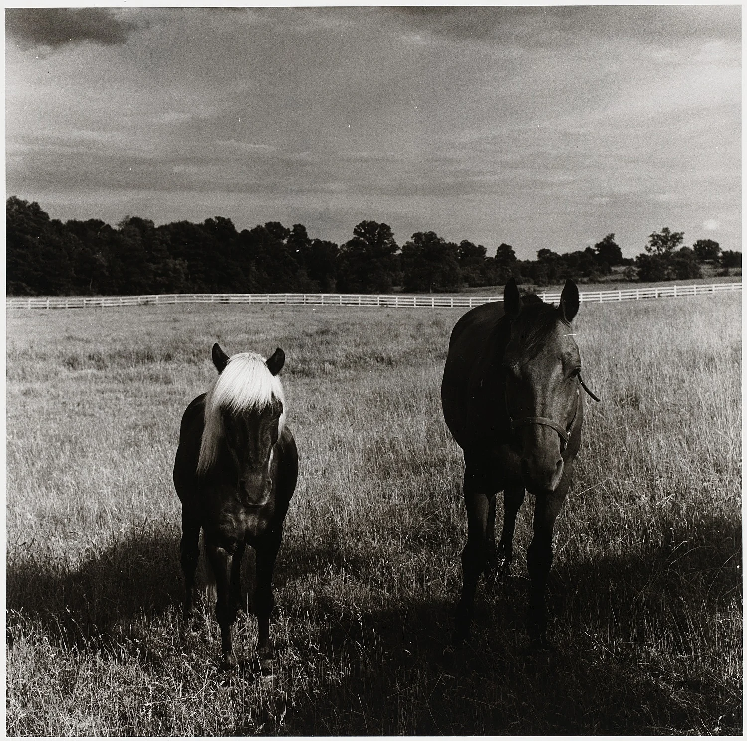 Moyra Davey Peter Hujar - Berlin 2020 — Moyra Davey Peter Hujar — Exhibitions — Galerie Buchholz — Image 58