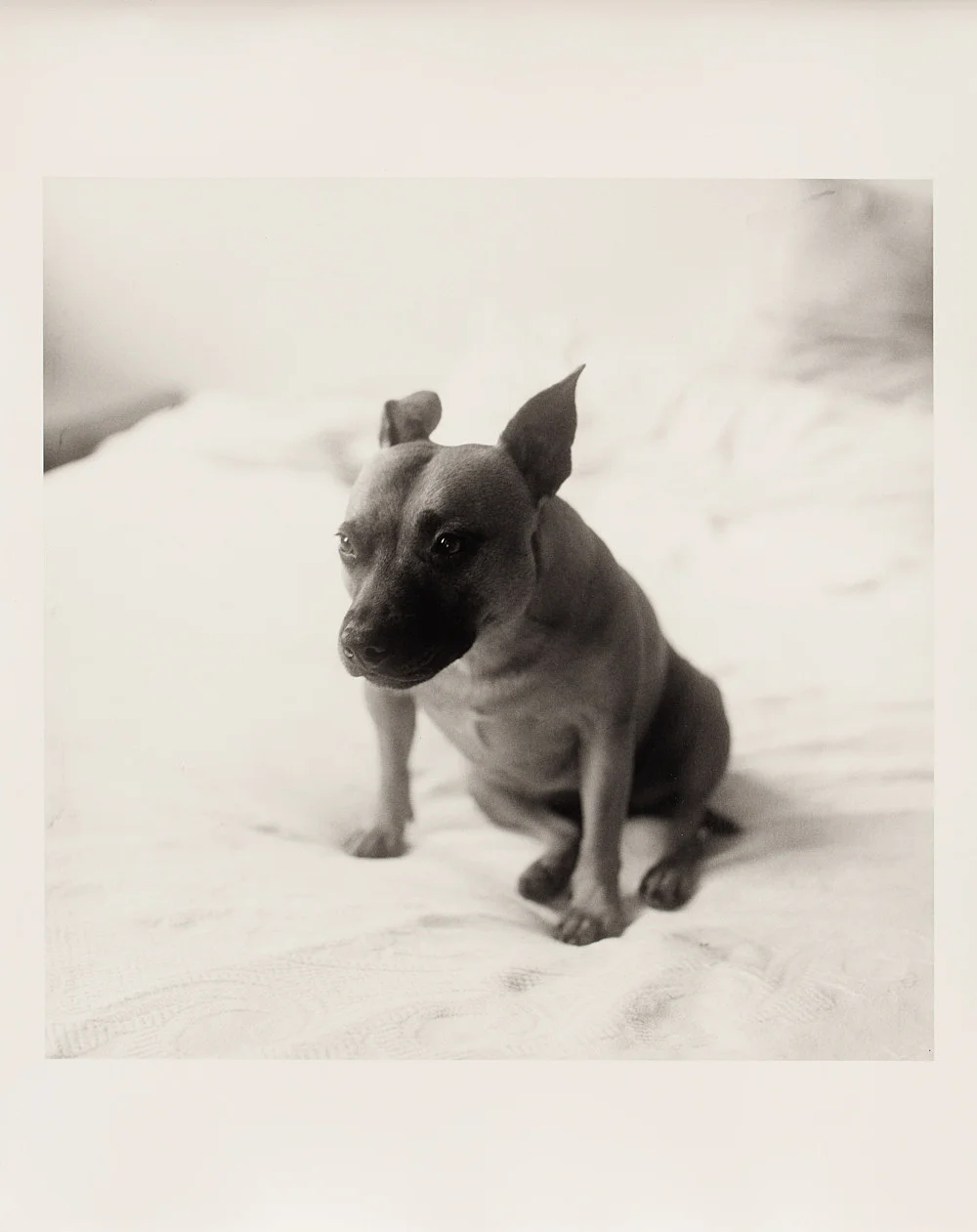 Moyra Davey Peter Hujar - Berlin 2020 — Moyra Davey Peter Hujar — Exhibitions — Galerie Buchholz — Image 61