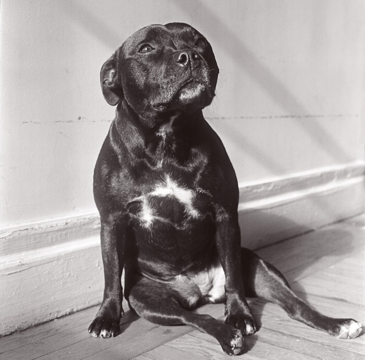 Moyra Davey Peter Hujar - Berlin 2020 — Moyra Davey Peter Hujar — Exhibitions — Galerie Buchholz — Image 63