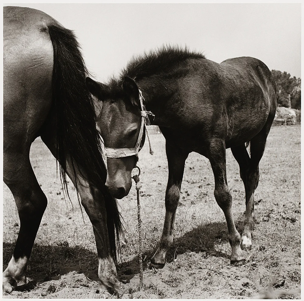 Moyra Davey Peter Hujar - Berlin 2020 — Moyra Davey Peter Hujar — Exhibitions — Galerie Buchholz — Image 00