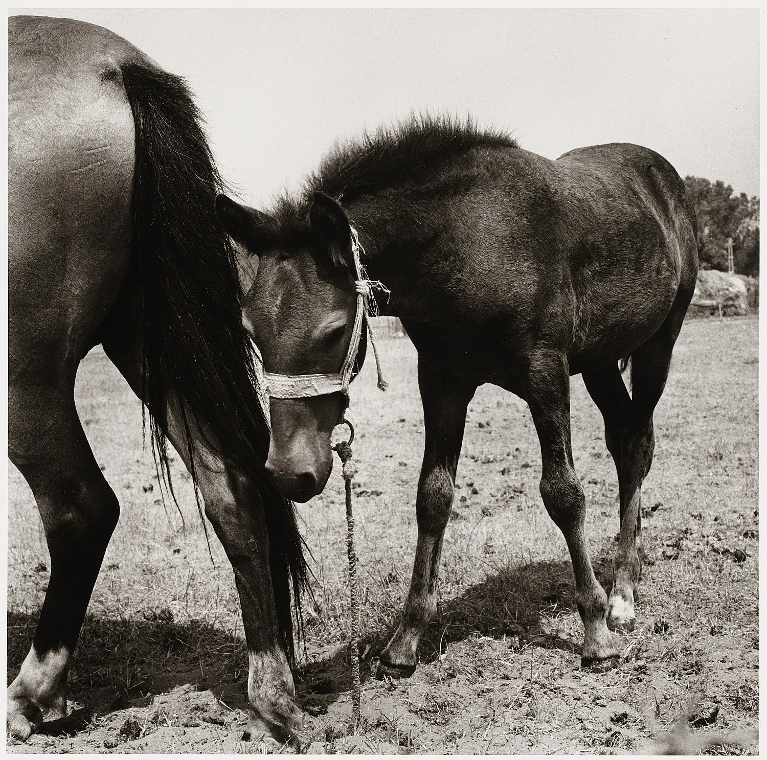Moyra Davey Peter Hujar - Berlin 2020 — Moyra Davey Peter Hujar — Exhibitions — Galerie Buchholz — Image 67