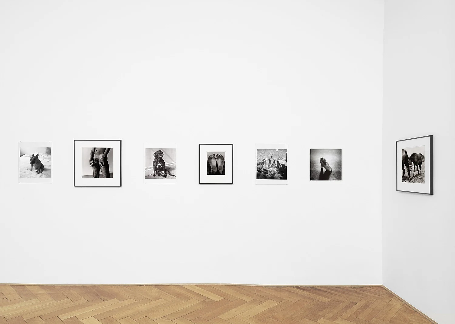 Moyra Davey Peter Hujar - Berlin 2020 — Moyra Davey Peter Hujar — Exhibitions — Galerie Buchholz — Image 60