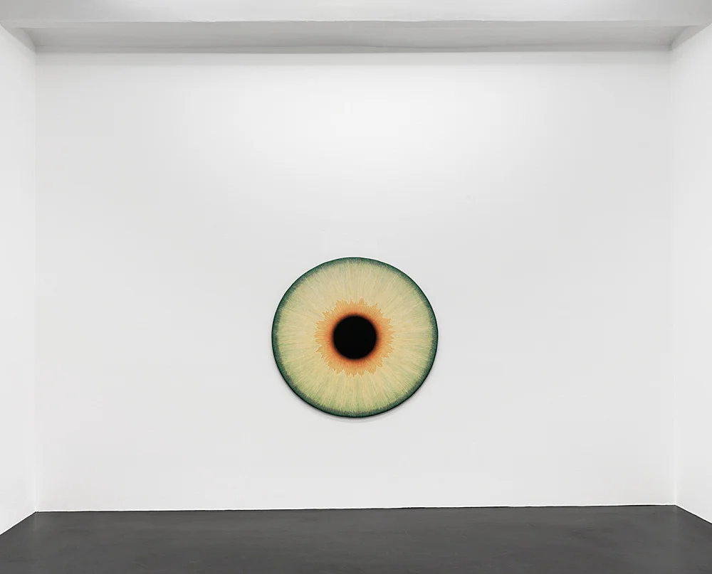 Visualities — Ulla Wiggen — Exhibitions — Galerie Buchholz — Image 00
