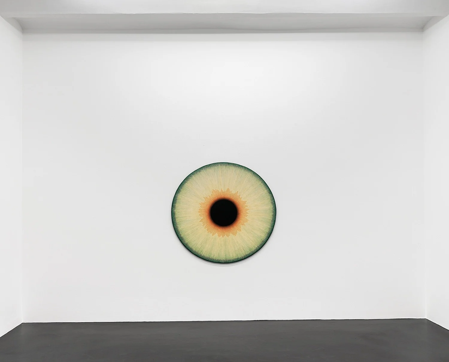 Visualities — Ulla Wiggen — Exhibitions — Galerie Buchholz — Image 05