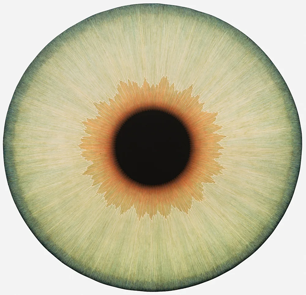 Visualities — Ulla Wiggen — Exhibitions — Galerie Buchholz — Image 00