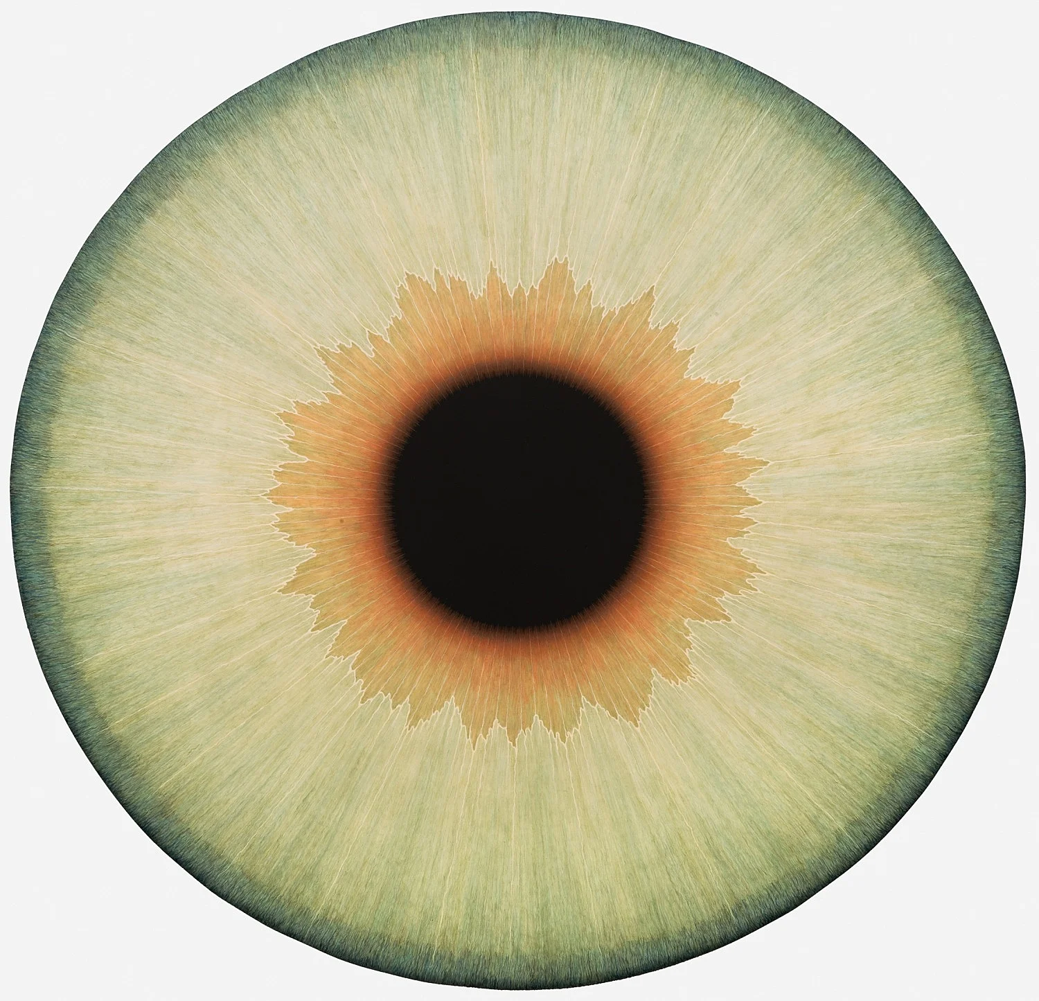 Visualities — Ulla Wiggen — Exhibitions — Galerie Buchholz — Image 06