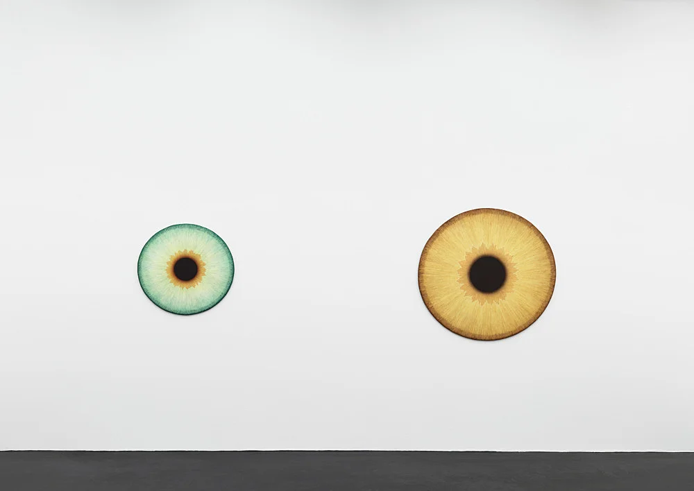 Visualities — Ulla Wiggen — Exhibitions — Galerie Buchholz — Image 00