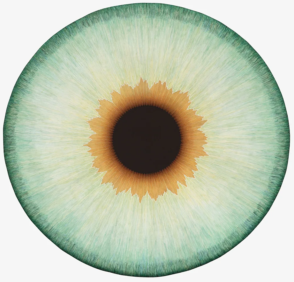 Visualities — Ulla Wiggen — Exhibitions — Galerie Buchholz — Image 00