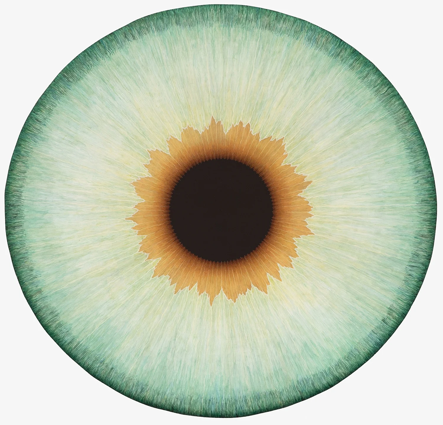 Visualities — Ulla Wiggen — Exhibitions — Galerie Buchholz — Image 08