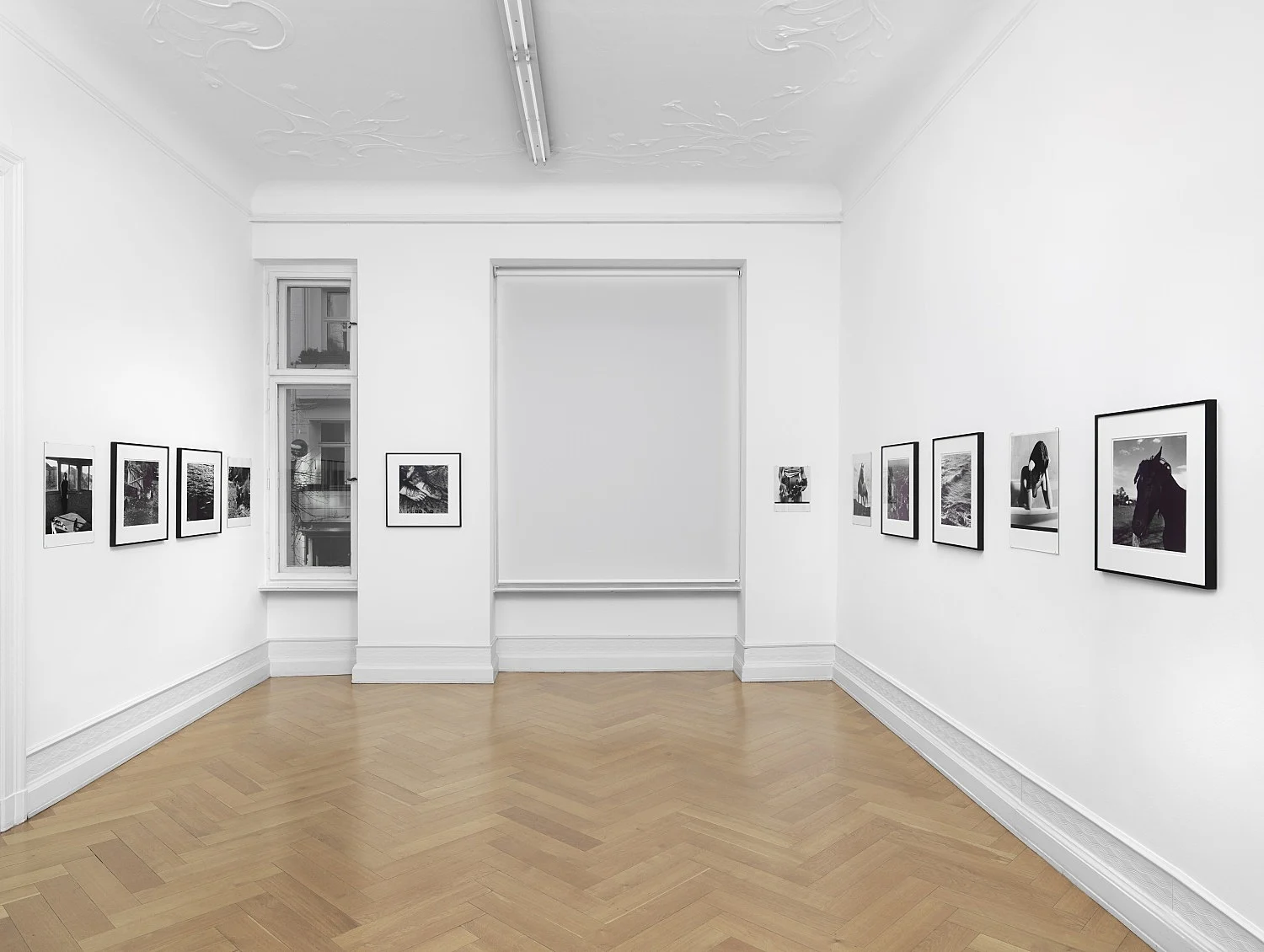 Moyra Davey Peter Hujar - Berlin 2020 — Moyra Davey Peter Hujar — Exhibitions — Galerie Buchholz — Image 12