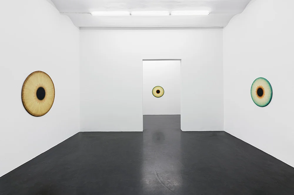 Visualities — Ulla Wiggen — Exhibitions — Galerie Buchholz — Image 00