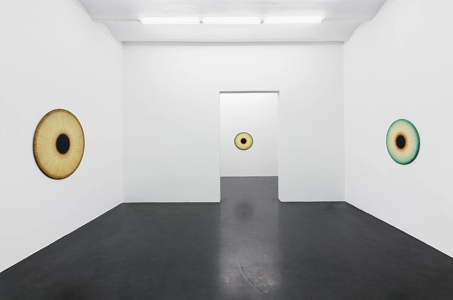 Visualities — Ulla Wiggen — Exhibitions — Galerie Buchholz — Image 10