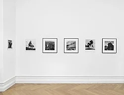 Moyra Davey Peter Hujar - Berlin 2020 — Moyra Davey Peter Hujar — Exhibitions — Galerie Buchholz — Image 83