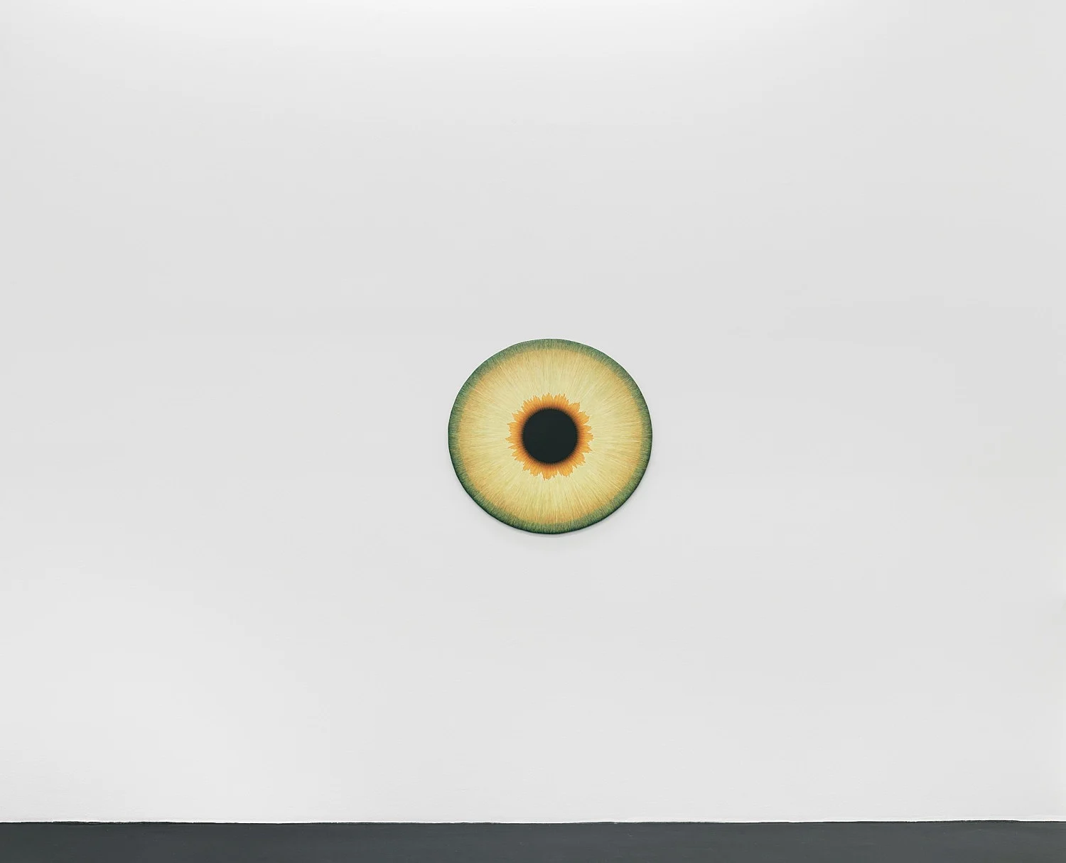 Visualities — Ulla Wiggen — Exhibitions — Galerie Buchholz — Image 11